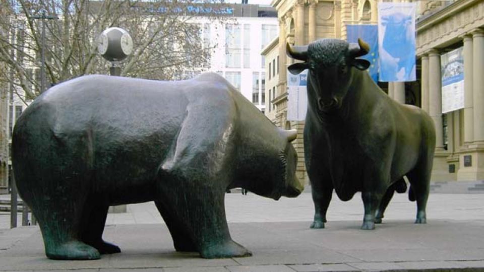 Bear and bull