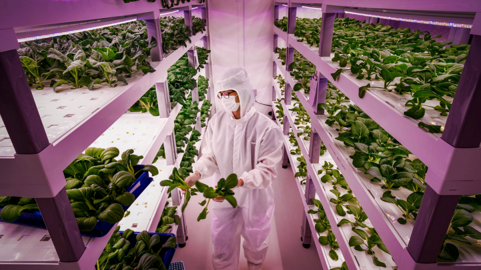 Future of Food webinar