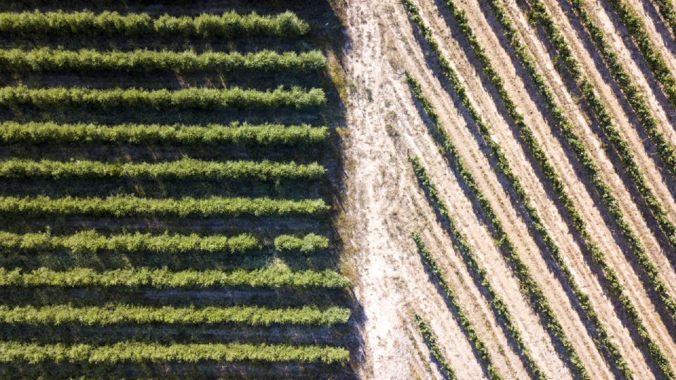 Engagement: De "Onvoltooide Symfonie", zo mooi als die van Schubert