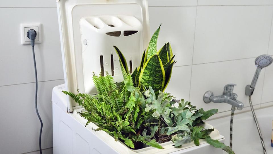 Greenwashing Greenwashing