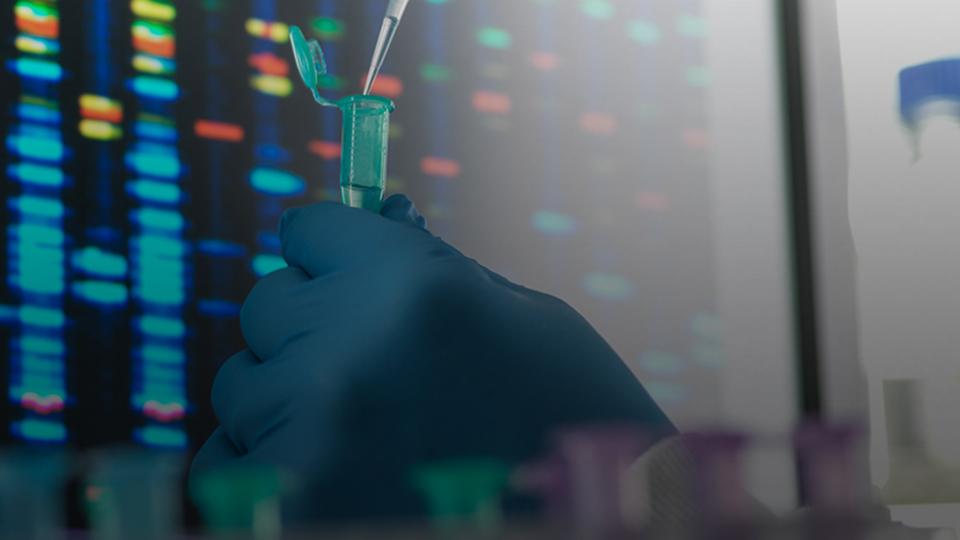 Diagnostics: The Workhorse of Improving Health Outcomes