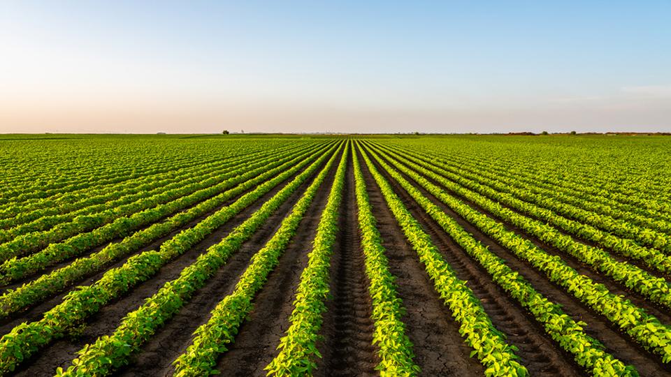  Regeneratieve landbouw: Kun je goeddoen en het goed doen?