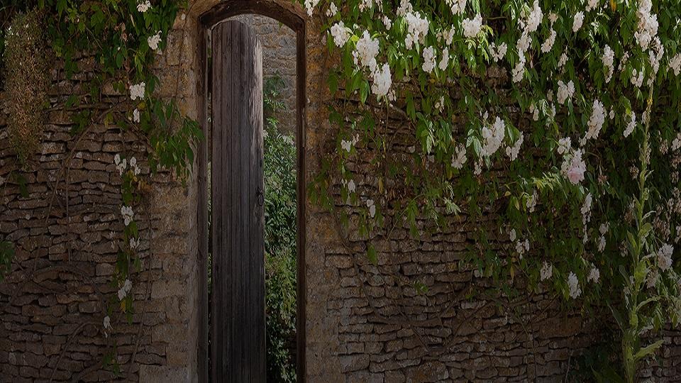 Walled Gardens: The Slow Burn AI Winners