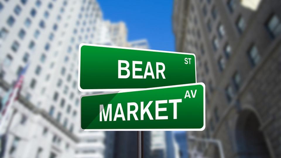 Bear market, foto via Flickr door Investment Zen