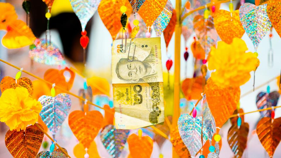 Geld in de wilgen, foto door Gina Smith via Unsplash Geld in de wilgen, foto door Gina Smith via Unsplash