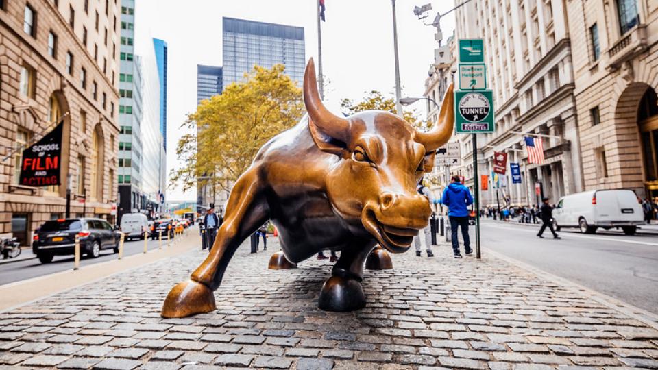 Bull in straatbeeld van New York 