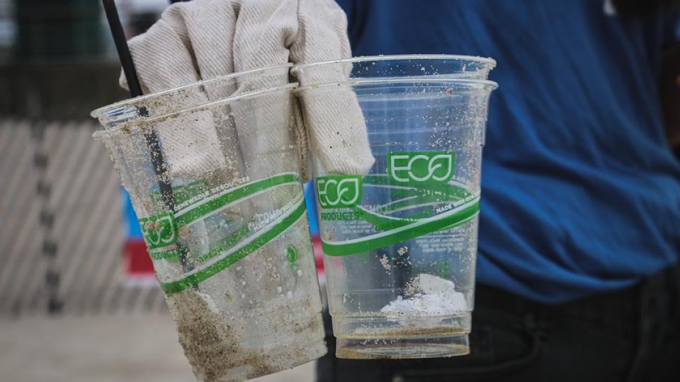 greenwashing greenwashing