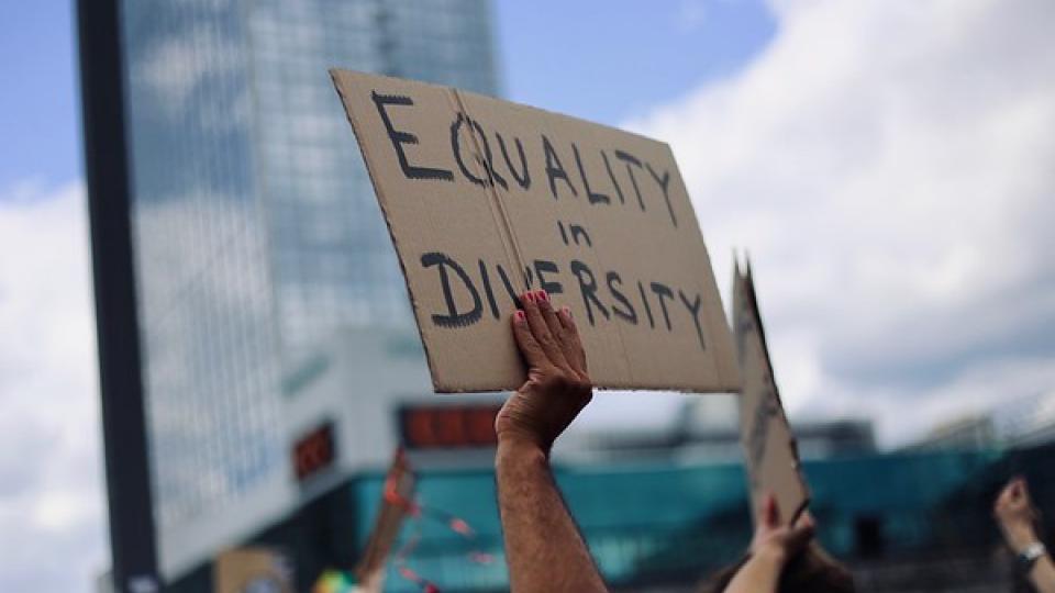Diversiteit Diversiteit