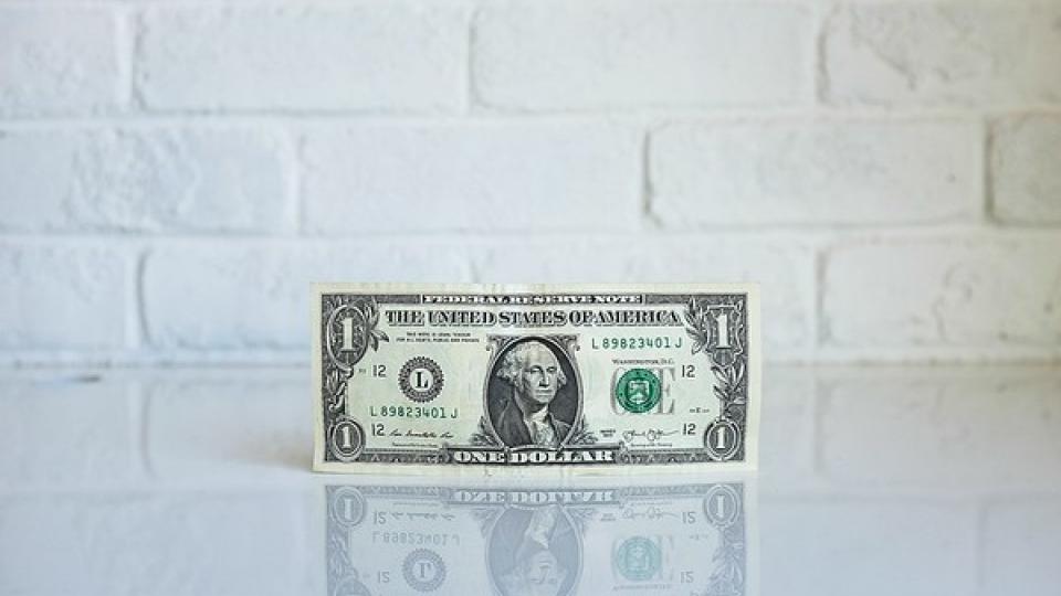 dollar dollar