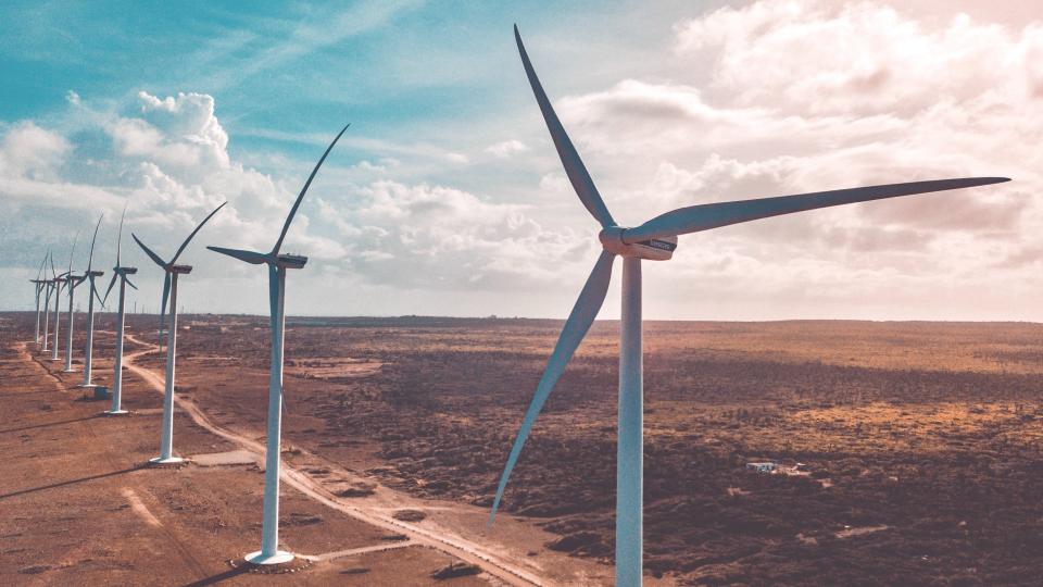 Windmolens op Aruba, foto door Rabih Shasha via Unsplash Windmolens op Aruba, foto door Rabih Shasha via Unsplash