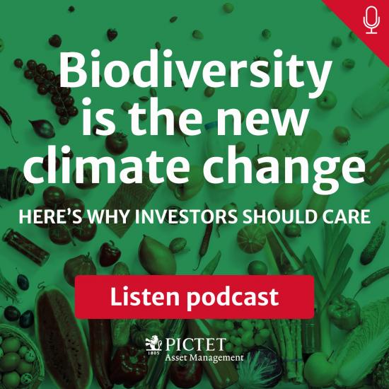 Biodiversity loss is the new climate change. Here’s why it should matter to investors