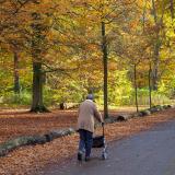 Wandeling in het park